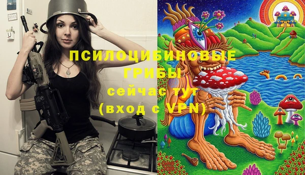 2c-b Абдулино