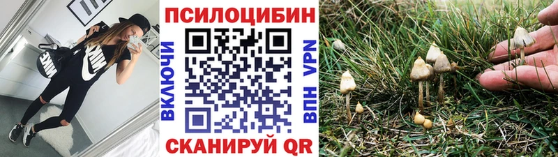 Галлюциногенные грибы GOLDEN TEACHER  даркнет клад  Шенкурск 